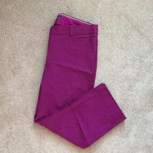 The Limited Signature Stretch Pants